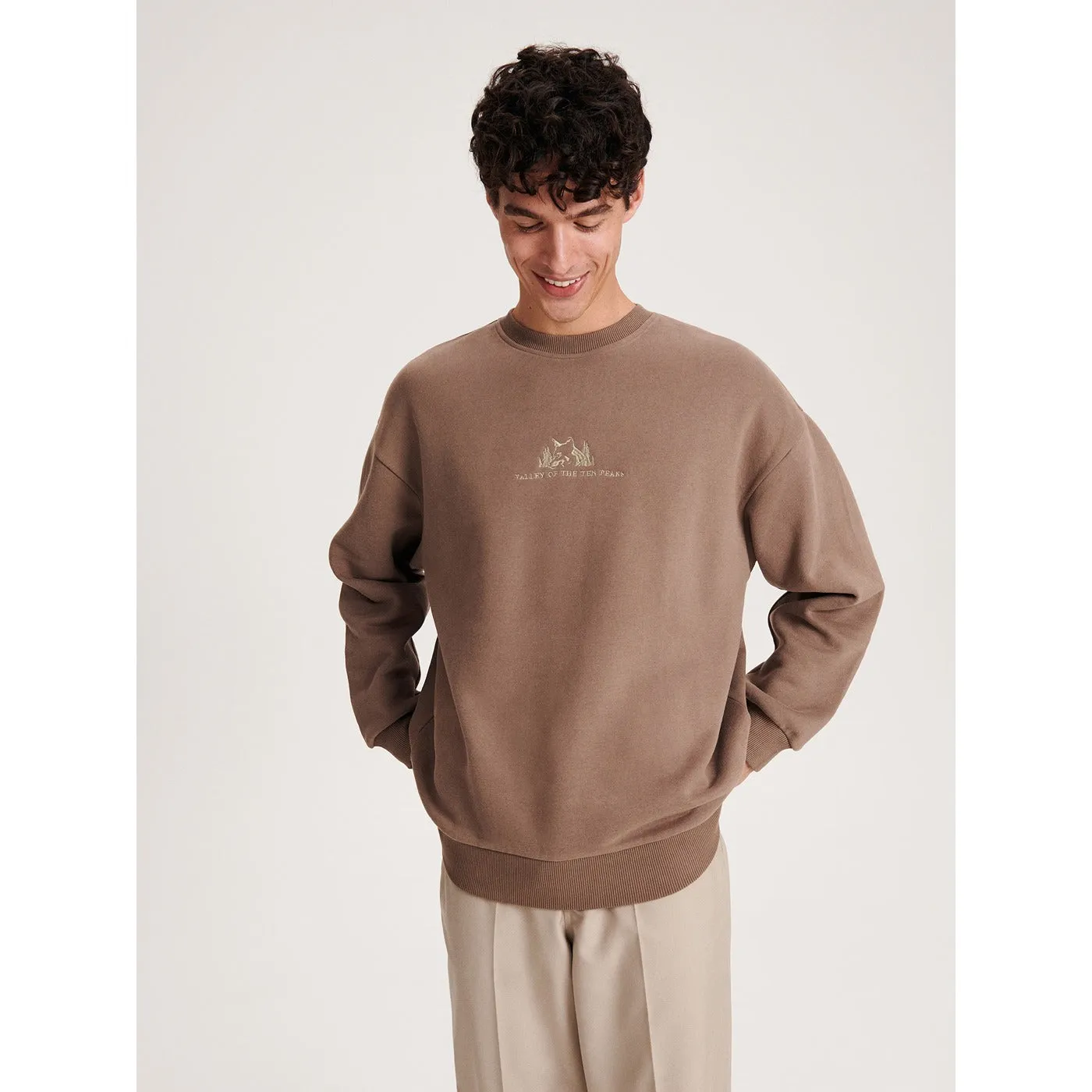 Brown Embroidery Detailing Sweatshirt